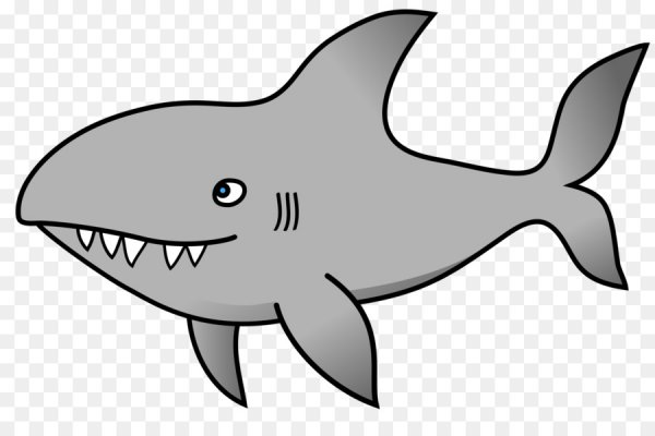 Детские рисунки акулы