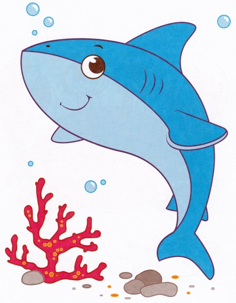 Акула рисование для детей