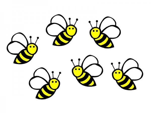 Пчела рисунок