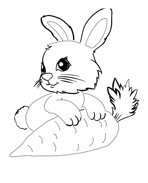 Банни рэббит