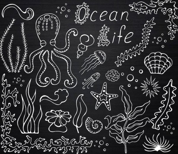 Картины мелом