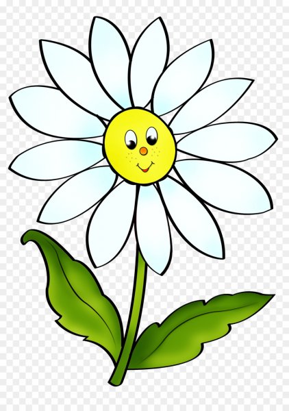 Картинка ромашки для детей в детском саду