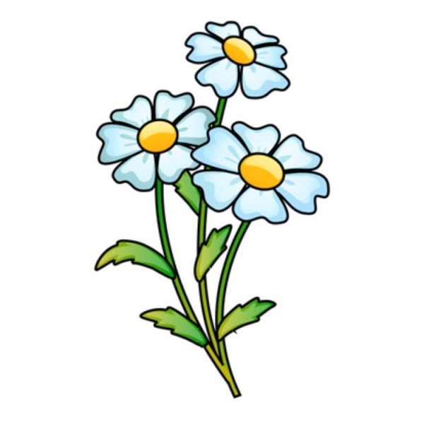 Ромашка рисунок