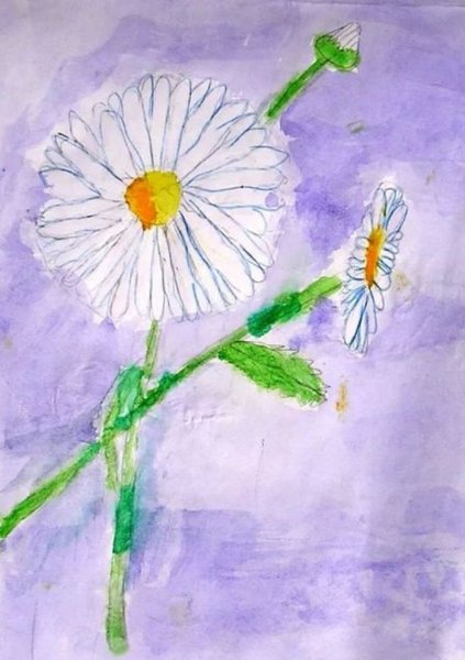 Рисование ромашки