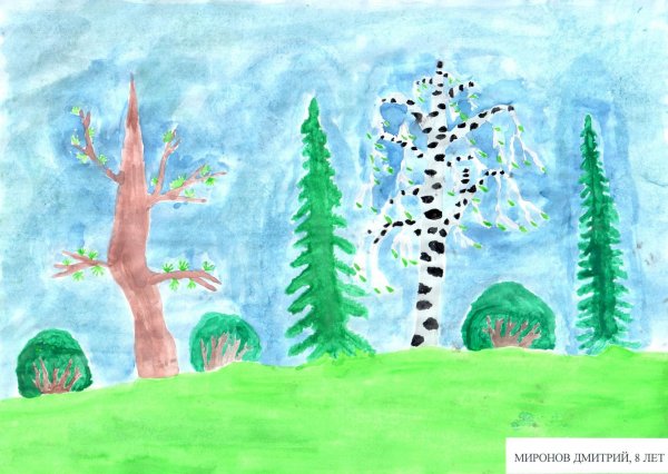 Рисование леса