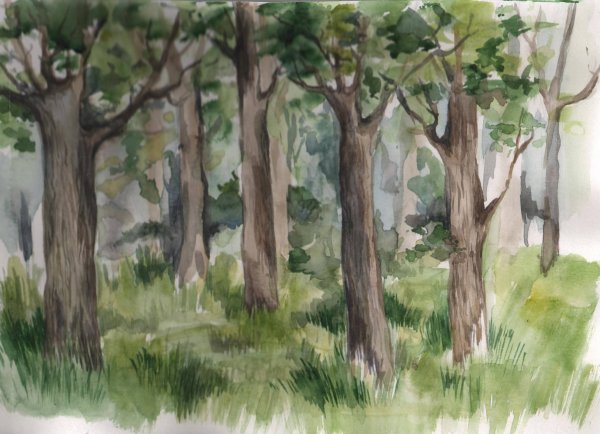 Лес для рисования