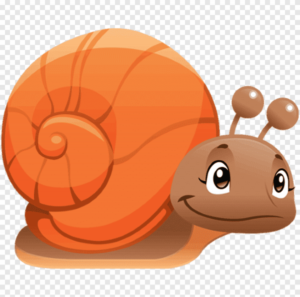 Улитка рисунок