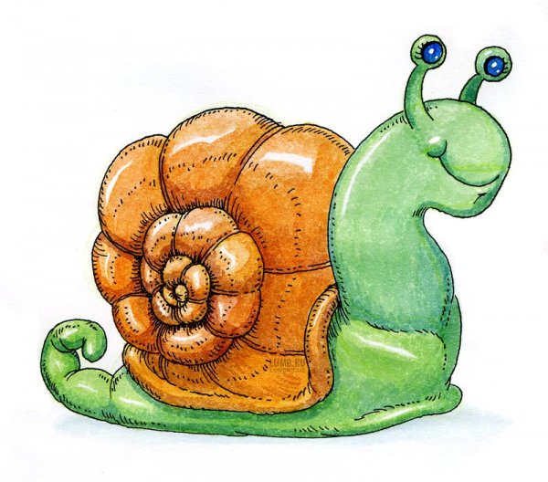 Улитка рисунок