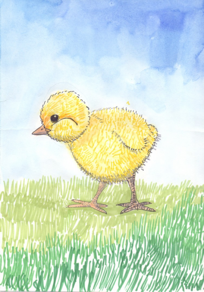 Рисование цыпленок