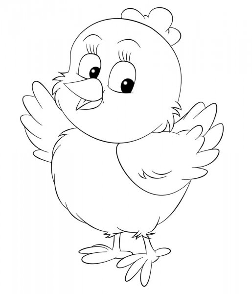 Цыпленок контур