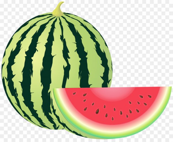 Арбуз без фона