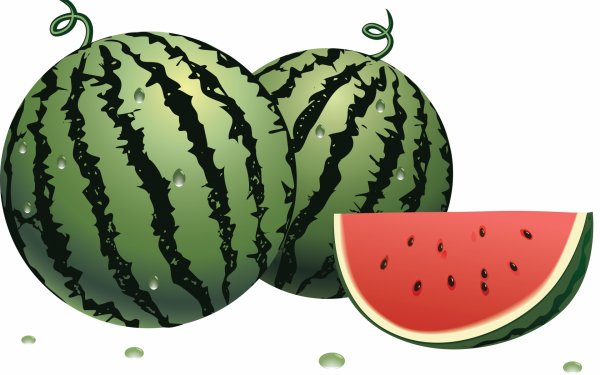 Жук Арбузник