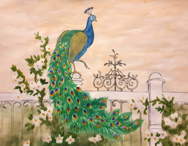 Павлин для детей