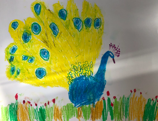 Рисование Сказочная птица в старшей группе