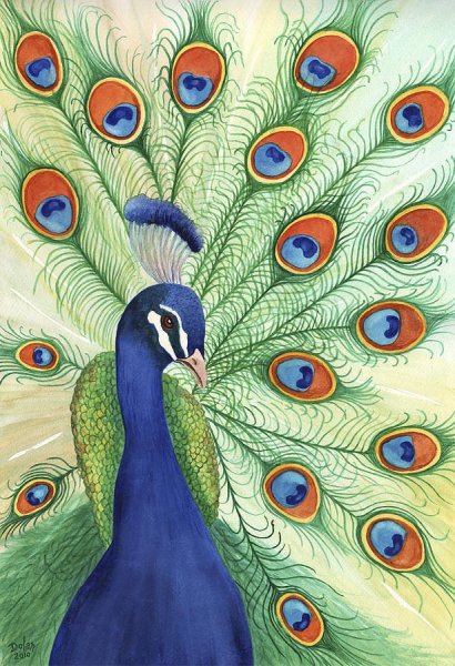 Рисование с детьми Павлин