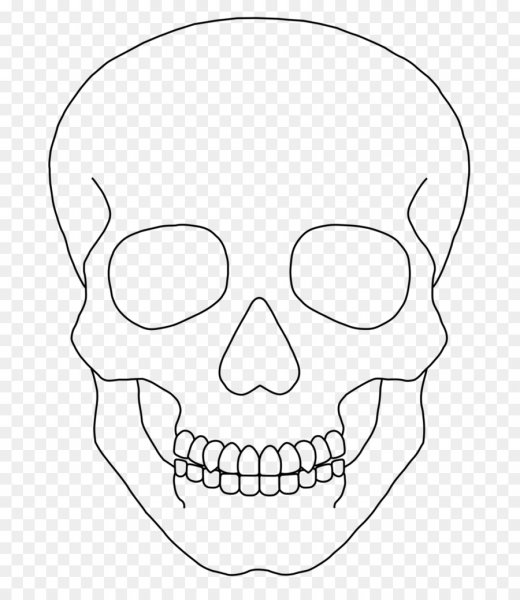 Череп для рисования