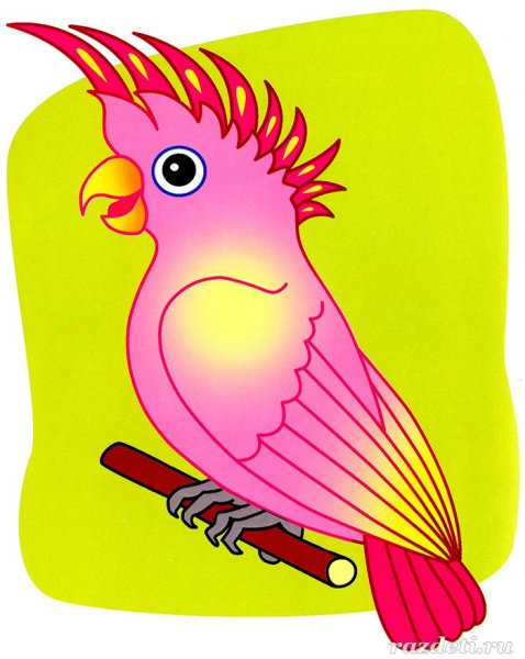 Картун попугай