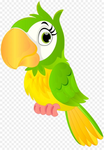 Попугай для детей