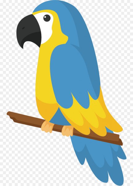 Раскрашенный попугай