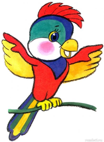 Попугай ара для детей