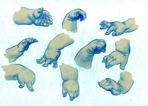 Детская анатомия для художников