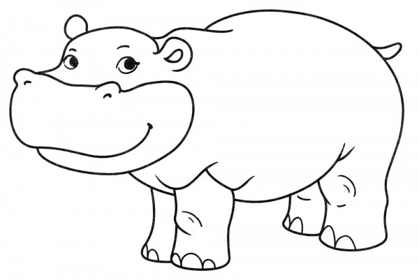 Гиппопотам раскраска для детей