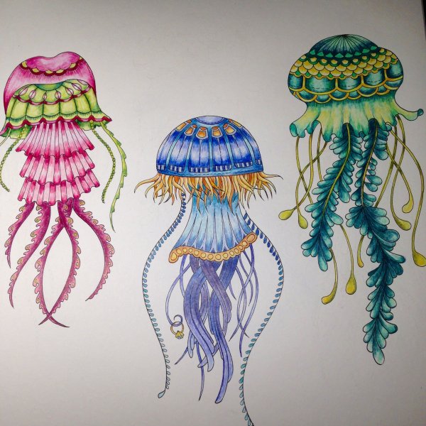 Рисование медузы