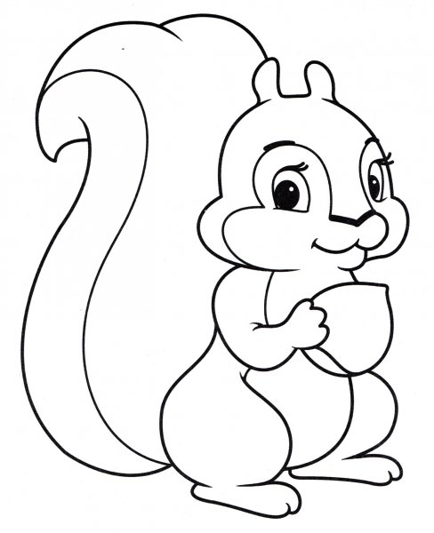 Белка раскраска