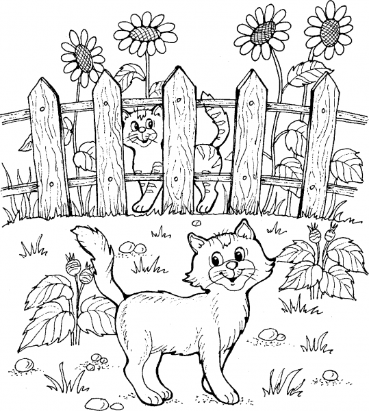 Забор раскраска для детей