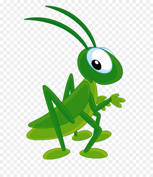 Пазлы насекомые для детей