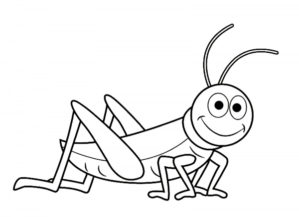 Раскраска насекомые кузнечик