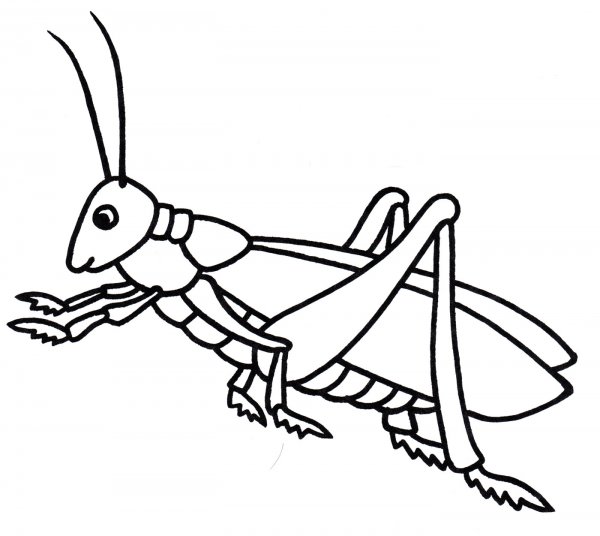 Кузнечик для детей