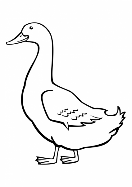 Нарисовать гуся