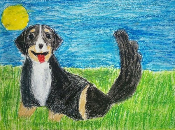 Моё любимое животное рисунок