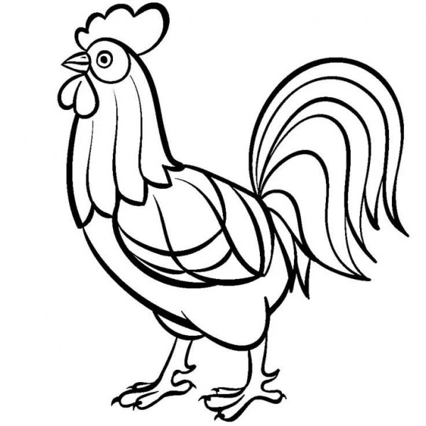 Петушок золотой гребешок Пушкина