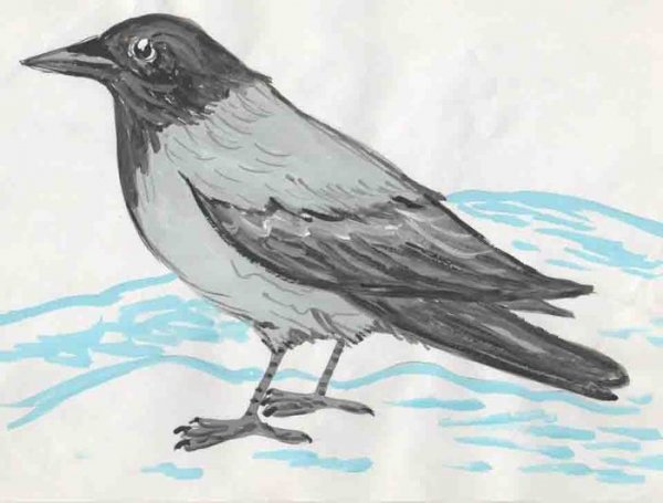 Нарисовать ворону