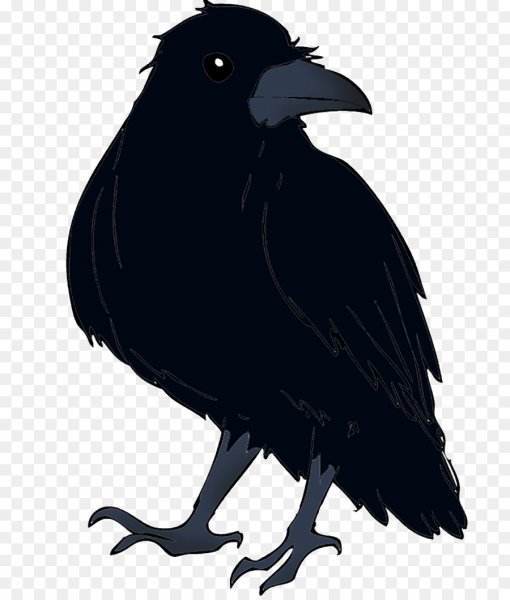 Ворон для детей