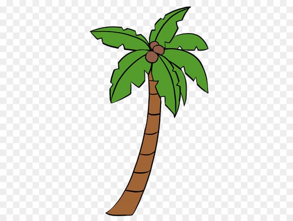 Пальма рисунок