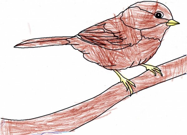 Нарисовать воробья