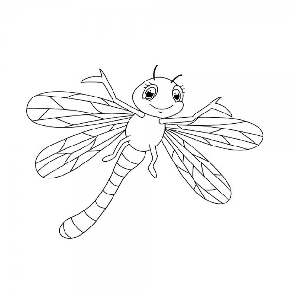 Стрекоза раскраска