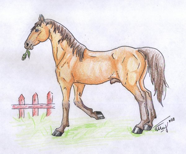 Лошадь рисунок детский