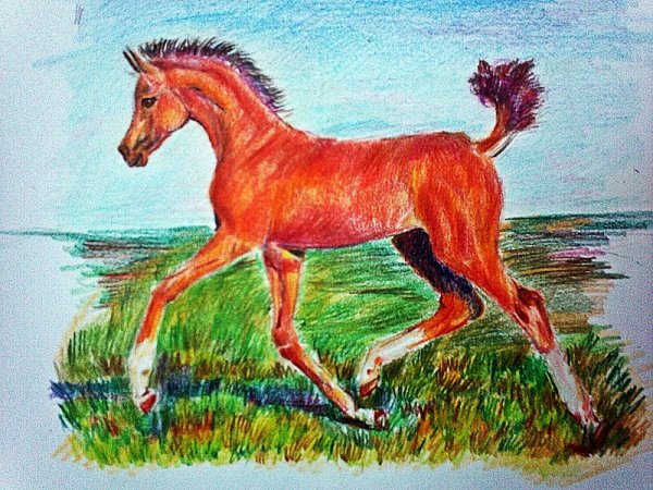 Рисование цветными карандашами для детей