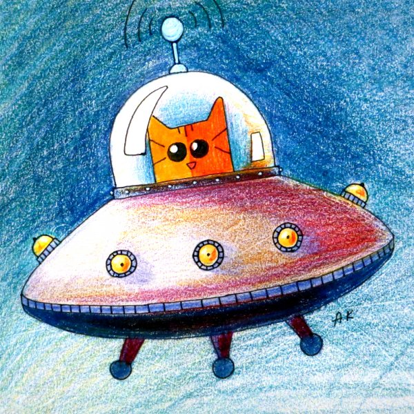 Кот в летающей тарелке