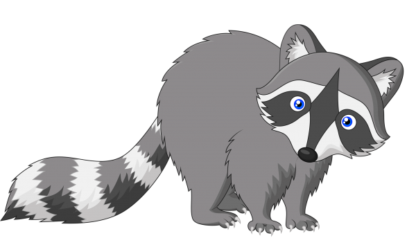 Енот мультяшный