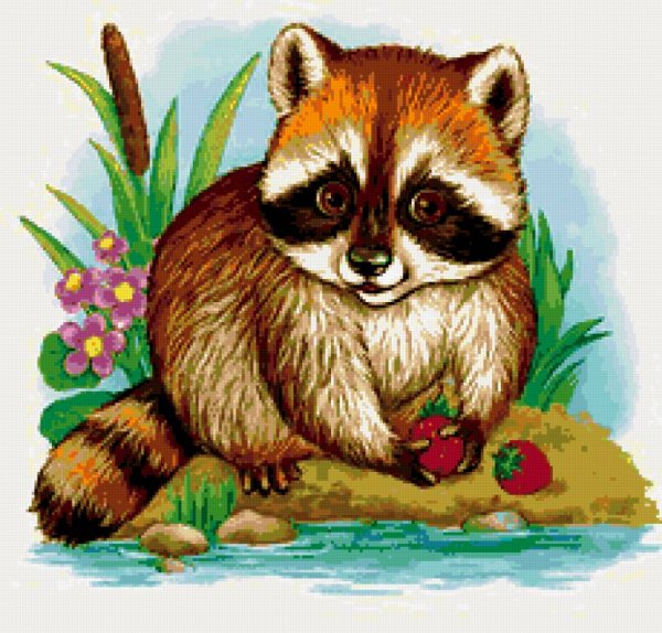 Сказочный енот