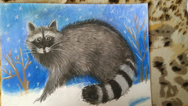 Енот для детей рисование