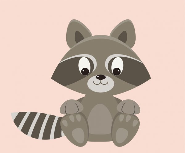 Енот персонаж