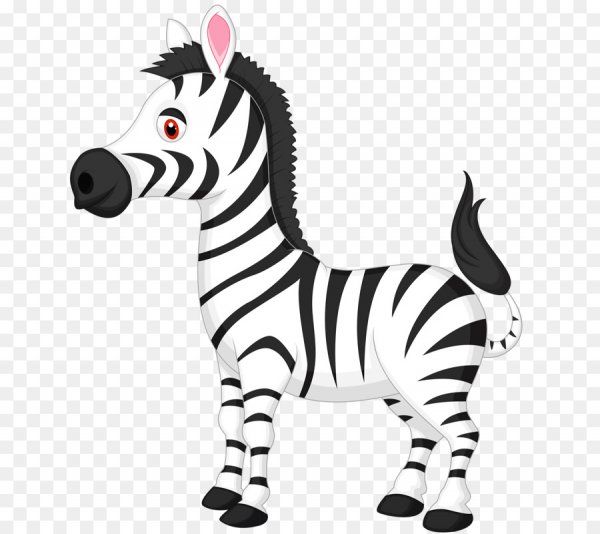 Мелвин Зебра