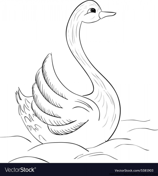 Лебедь раскраска для детей