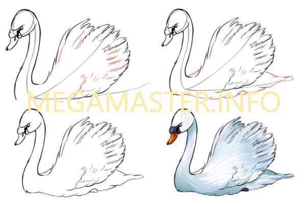 Поэтапное рисование лебедя